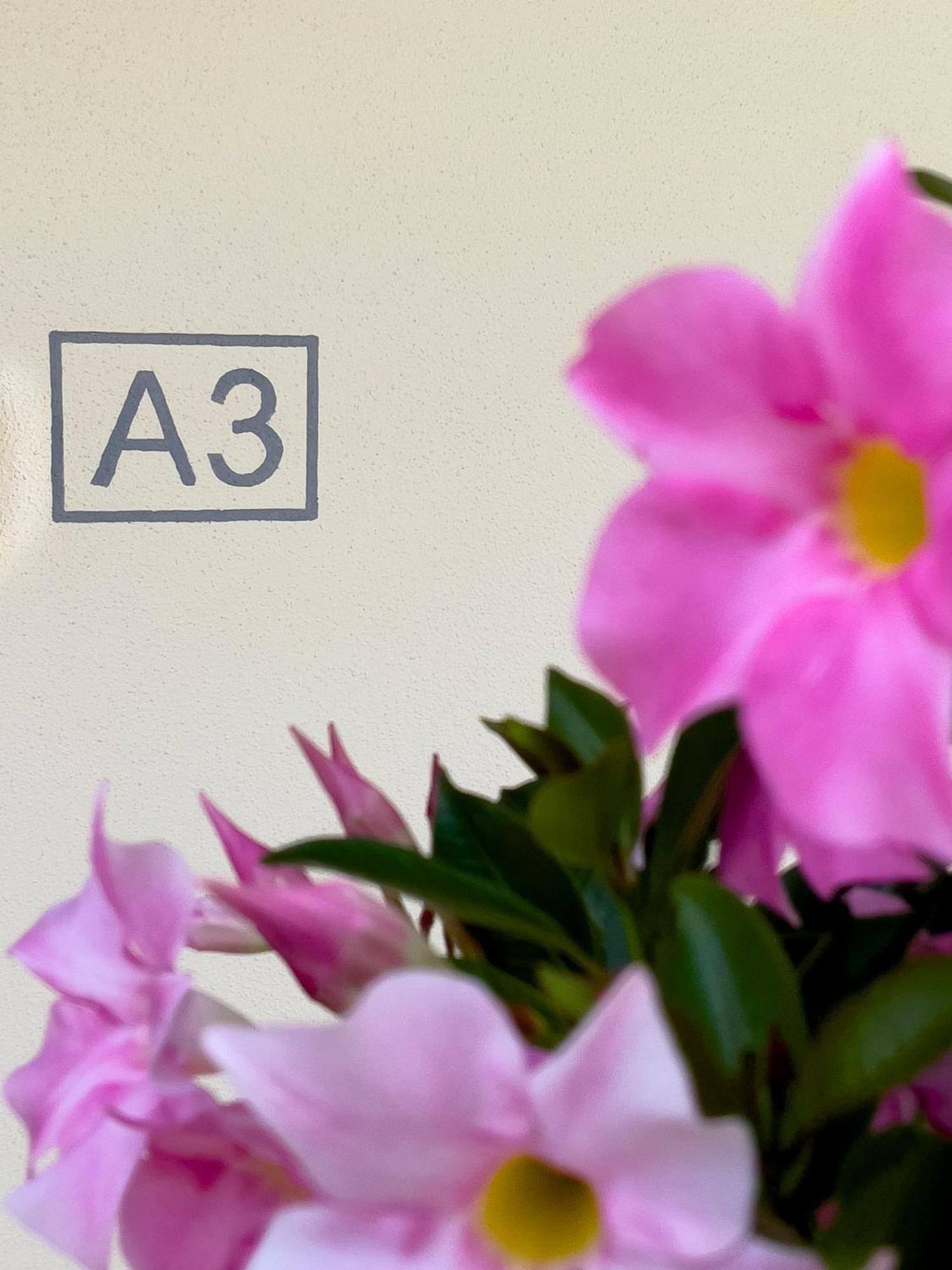 Le Casette Di Orta Apartments ออร์ตาซันจูลิโอ ภายนอก รูปภาพ